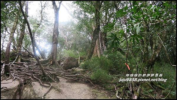 加里山65.JPG 加里山65.JPG