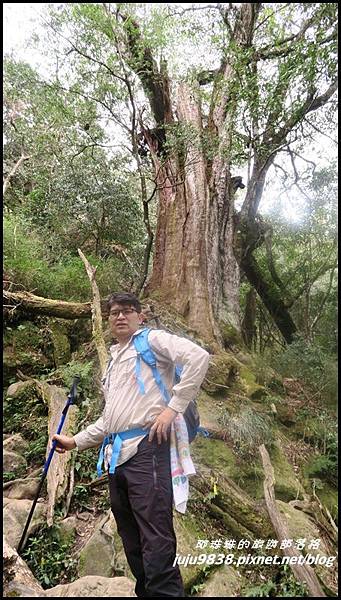 加里山67.JPG 加里山67.JPG