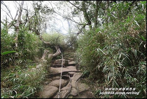 加里山82.JPG 加里山82.JPG