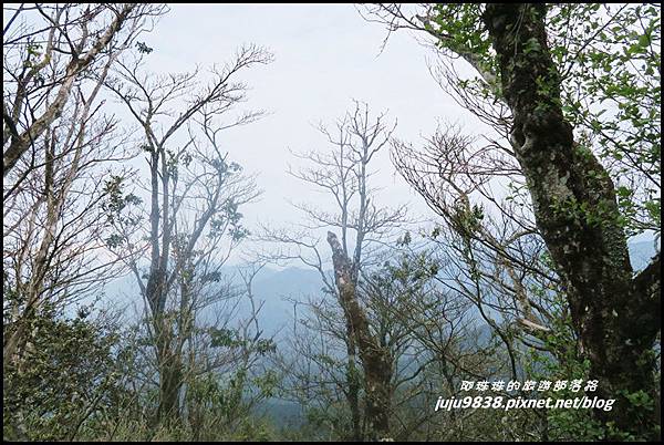 加里山86.JPG 加里山86.JPG