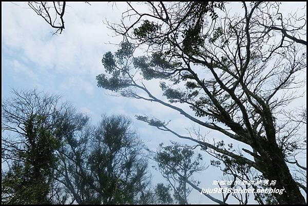 加里山88.JPG 加里山88.JPG