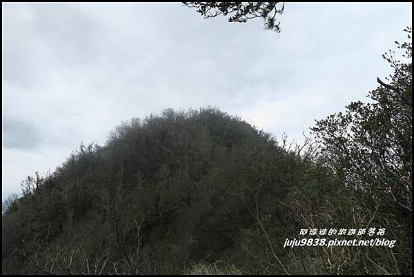 加里山89.JPG 加里山89.JPG