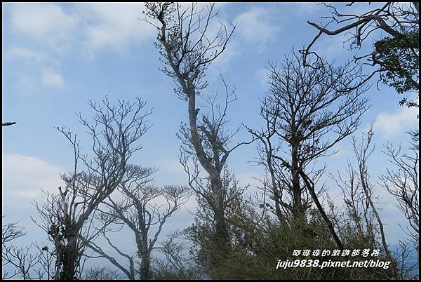 加里山103.JPG 加里山103.JPG