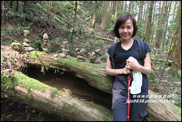 加里山106.JPG 加里山106.JPG