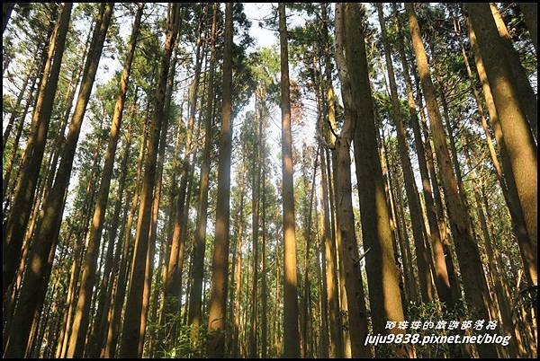 加里山109.JPG 加里山109.JPG