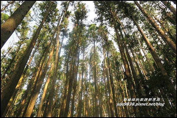 加里山111.JPG 加里山111.JPG