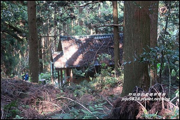 加里山110.JPG 加里山110.JPG