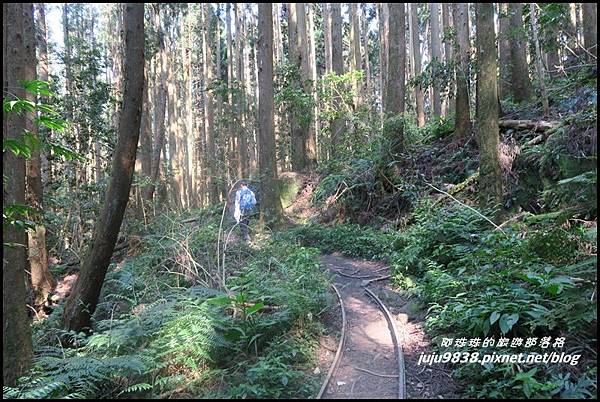 加里山112.JPG