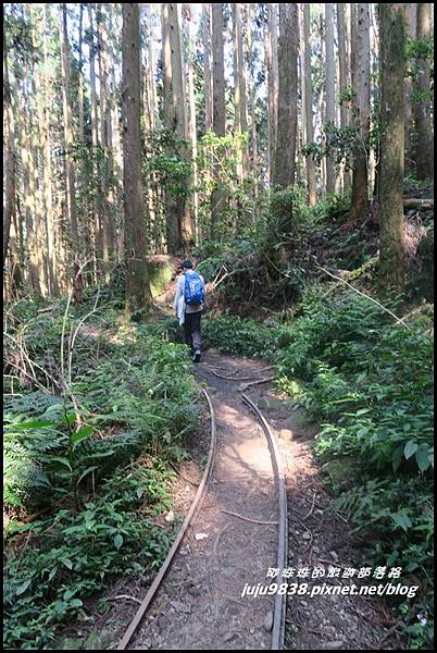 加里山113.JPG 加里山113.JPG