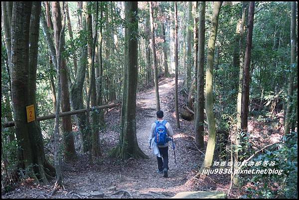 加里山116.JPG 加里山116.JPG