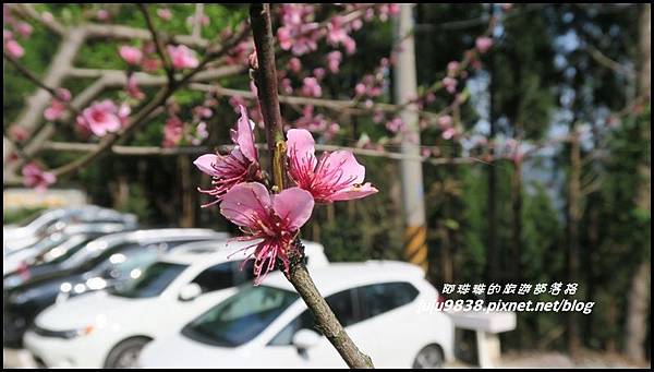 加里山122 加里山122