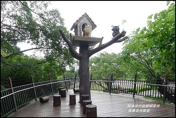 奧爾森林學堂13.JPG 奧爾森林學堂13.JPG