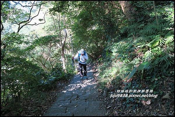 硬漢嶺15.JPG 硬漢嶺15.JPG