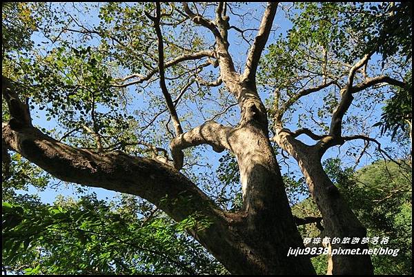 硬漢嶺16.JPG 硬漢嶺16.JPG