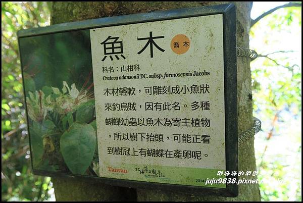 硬漢嶺20.JPG 硬漢嶺20.JPG