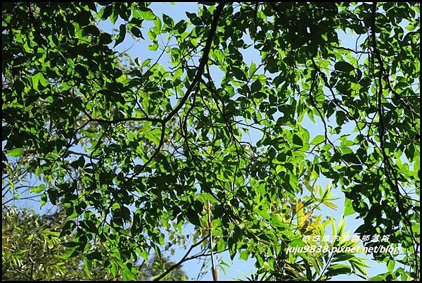 硬漢嶺21.JPG 硬漢嶺21.JPG