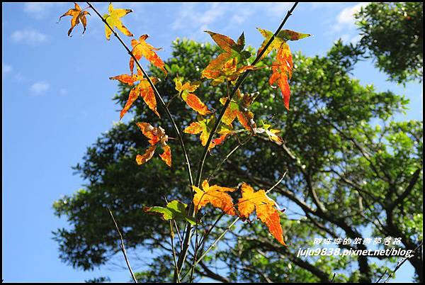 硬漢嶺25.JPG 硬漢嶺25.JPG