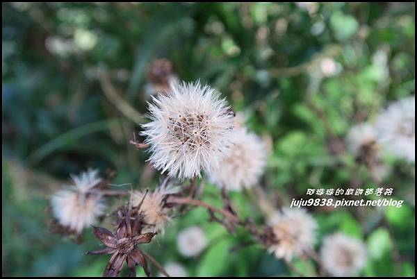 硬漢嶺31.JPG 硬漢嶺31.JPG