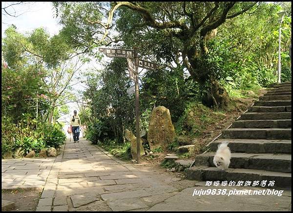 硬漢嶺40.JPG 硬漢嶺40.JPG