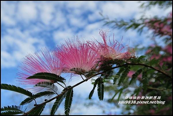 硬漢嶺42.JPG 硬漢嶺42.JPG