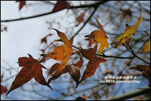 硬漢嶺46.JPG 硬漢嶺46.JPG