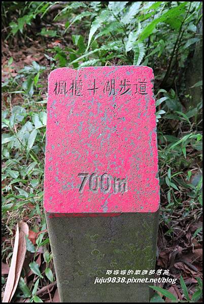 硬漢嶺58.JPG 硬漢嶺58.JPG