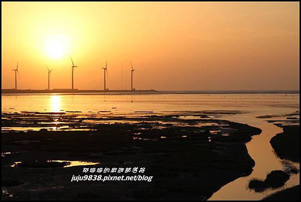 高美濕地3.JPG 高美濕地3.JPG