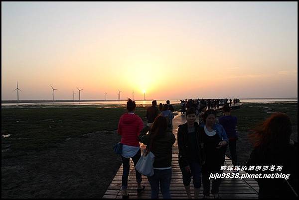 高美濕地7.JPG 高美濕地7.JPG