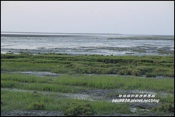 高美濕地9.JPG 高美濕地9.JPG