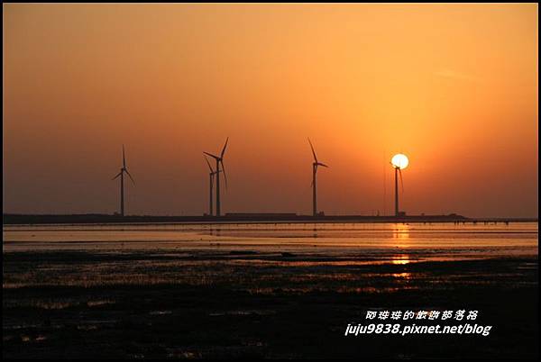 高美濕地8.JPG 高美濕地8.JPG