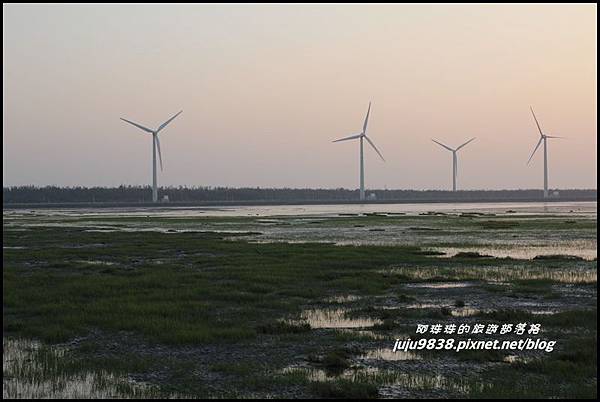 高美濕地10.JPG 高美濕地10.JPG