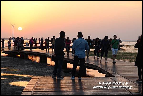 高美濕地14.JPG 高美濕地14.JPG