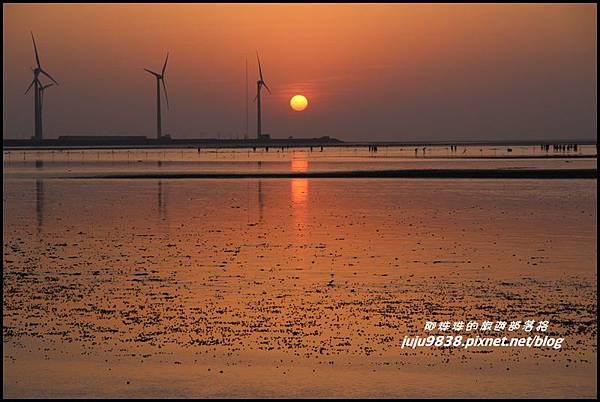 高美濕地17.JPG 高美濕地17.JPG