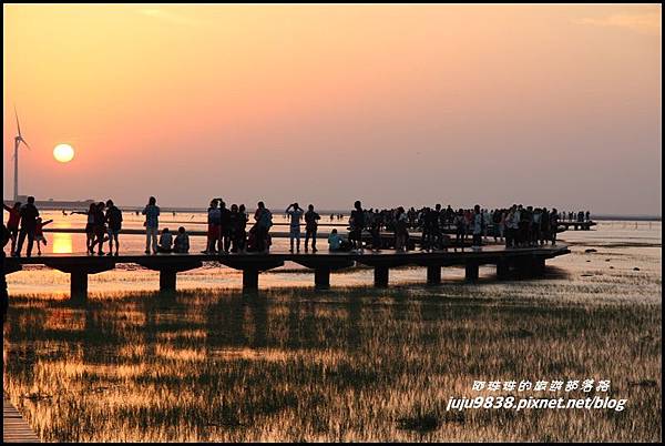 高美濕地16.JPG 高美濕地16.JPG