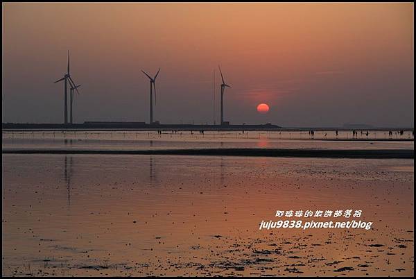 高美濕地20.JPG 高美濕地20.JPG