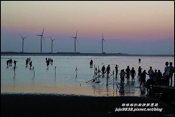 高美濕地24.JPG 高美濕地24.JPG