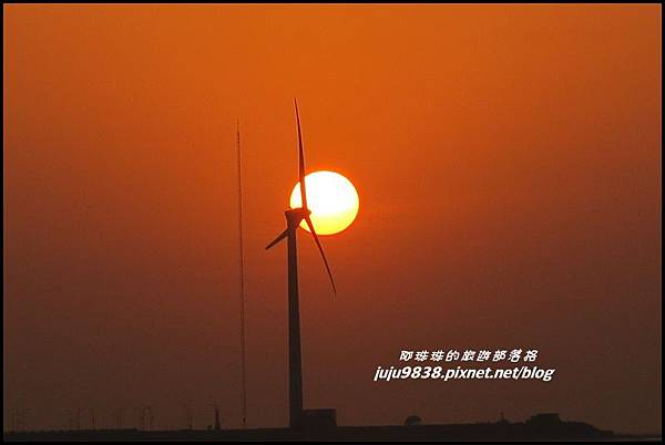 高美濕地31.JPG 高美濕地31.JPG