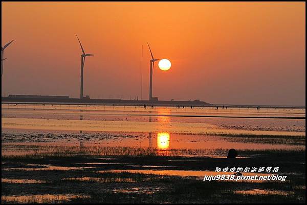 高美濕地32.JPG 高美濕地32.JPG