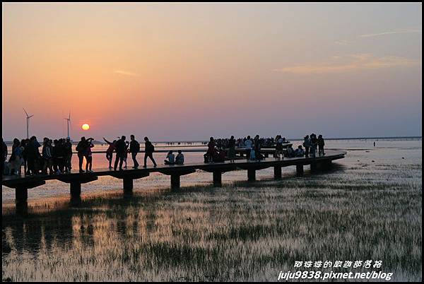 高美濕地35.JPG 高美濕地35.JPG