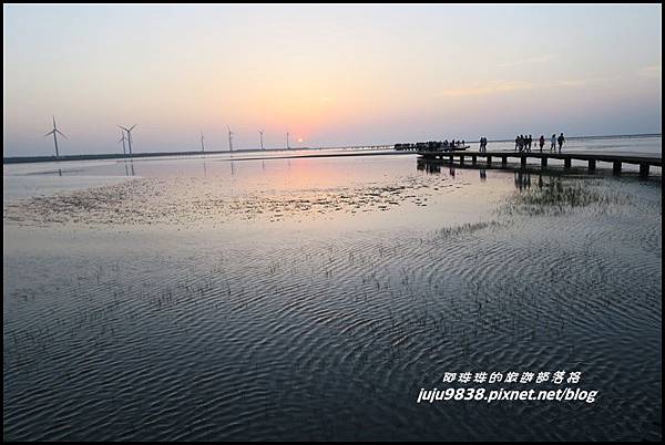 高美濕地36.JPG 高美濕地36.JPG