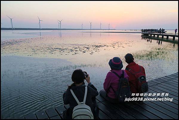 高美濕地37.JPG 高美濕地37.JPG