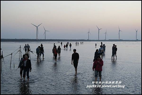 高美濕地39.JPG 高美濕地39.JPG