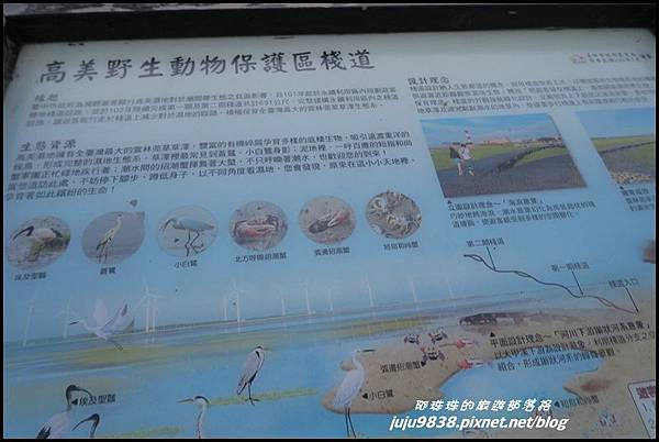高美濕地41.JPG 高美濕地41.JPG
