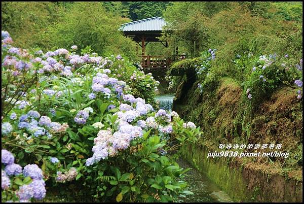 杉林溪38.JPG 杉林溪38.JPG
