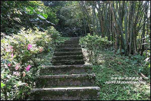 皇帝殿5.JPG 皇帝殿5.JPG