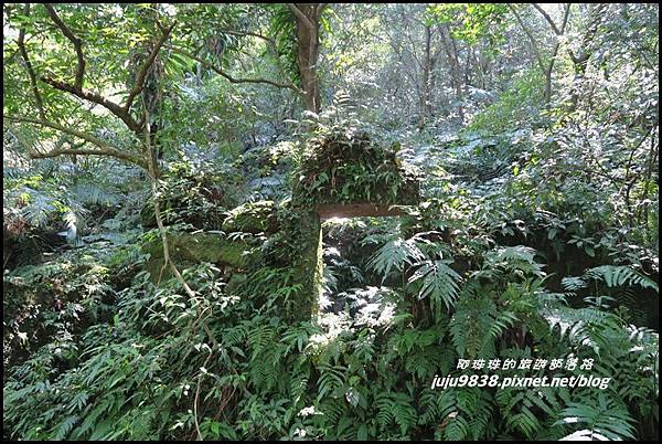 皇帝殿8.JPG 皇帝殿8.JPG