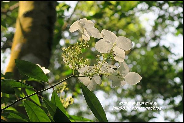 皇帝殿11.JPG 皇帝殿11.JPG