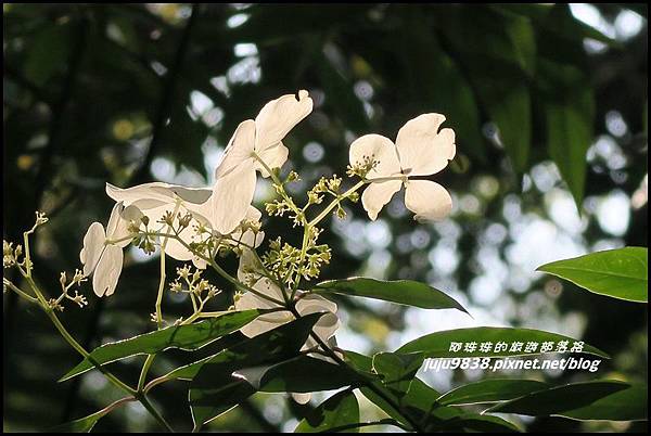 皇帝殿12.JPG 皇帝殿12.JPG