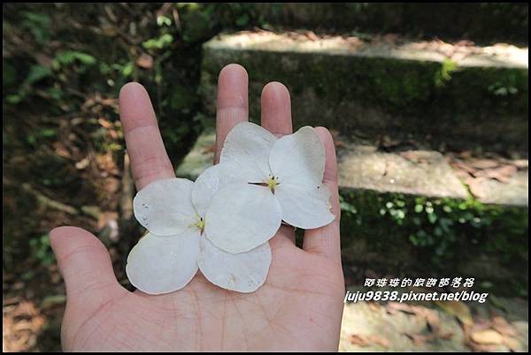 皇帝殿14.JPG 皇帝殿14.JPG