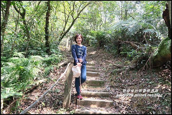 皇帝殿19.JPG 皇帝殿19.JPG